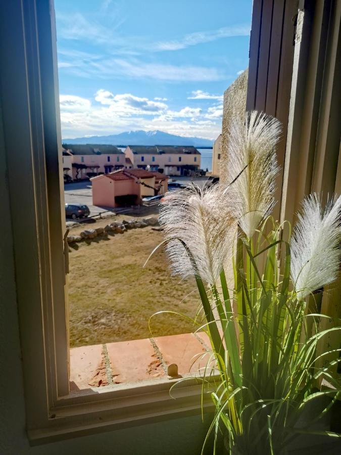 Appartement Tout Confort A Cap Coudalere Avec Vue Magnifique Sur Le Canigou Au Bord Du Lac - Check In Automatise - Parking Gratuit - Aire De Jeux D'Enfants - Ле-Баркарес Екстер'єр фото