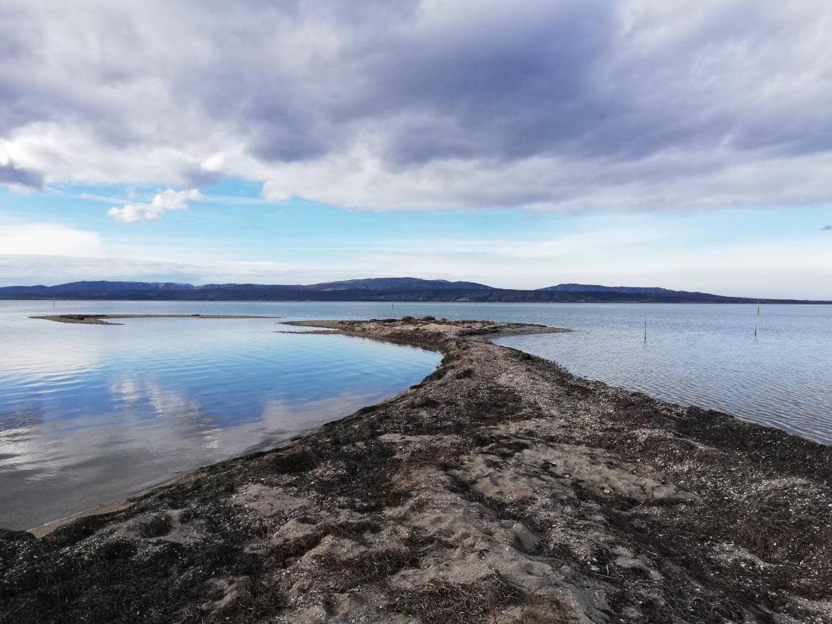Appartement Tout Confort A Cap Coudalere Avec Vue Magnifique Sur Le Canigou Au Bord Du Lac - Check In Automatise - Parking Gratuit - Aire De Jeux D'Enfants - Ле-Баркарес Екстер'єр фото